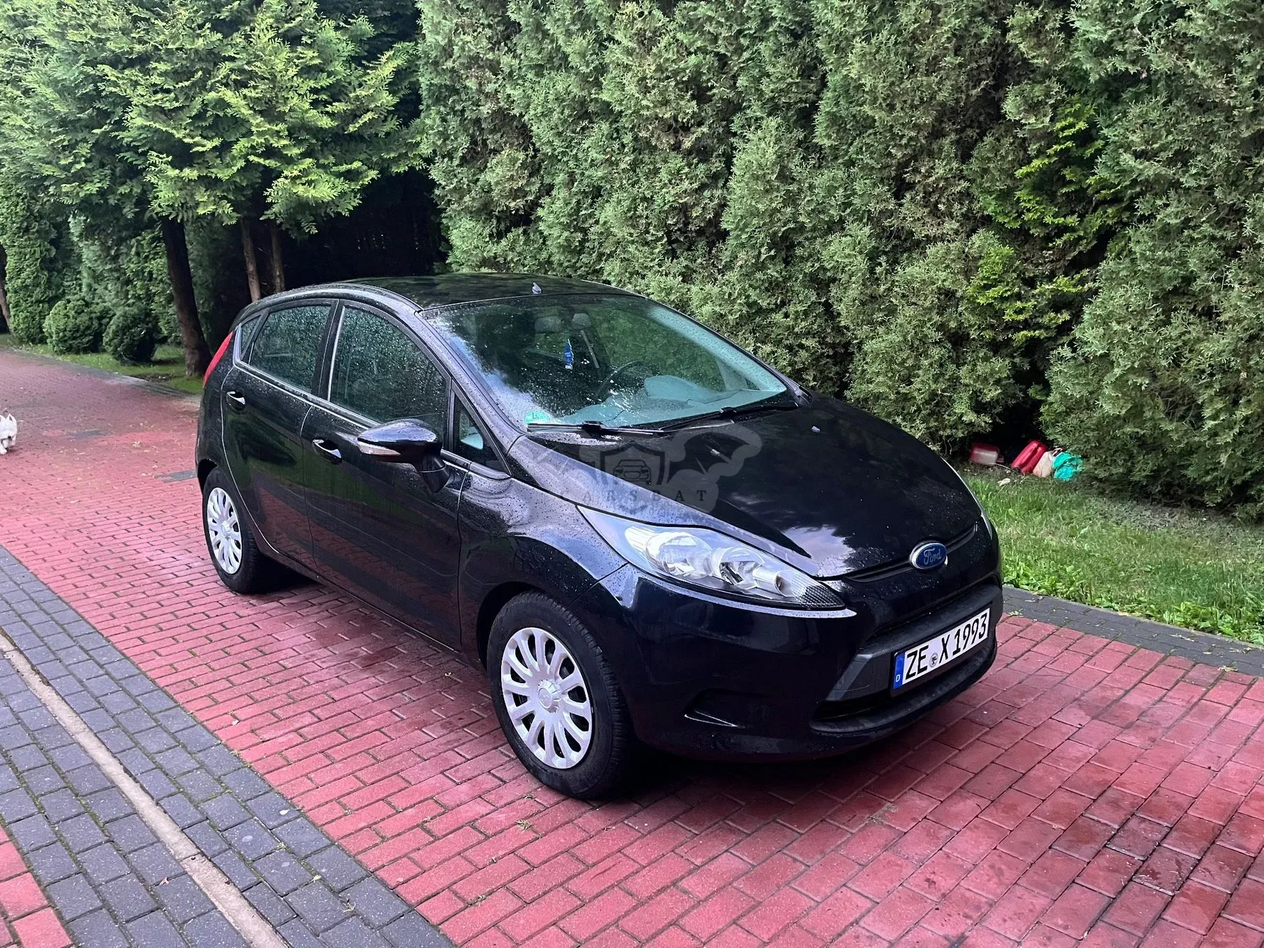 Ford Fiesta Mk7 (2008-) 1.25 Viva 2011