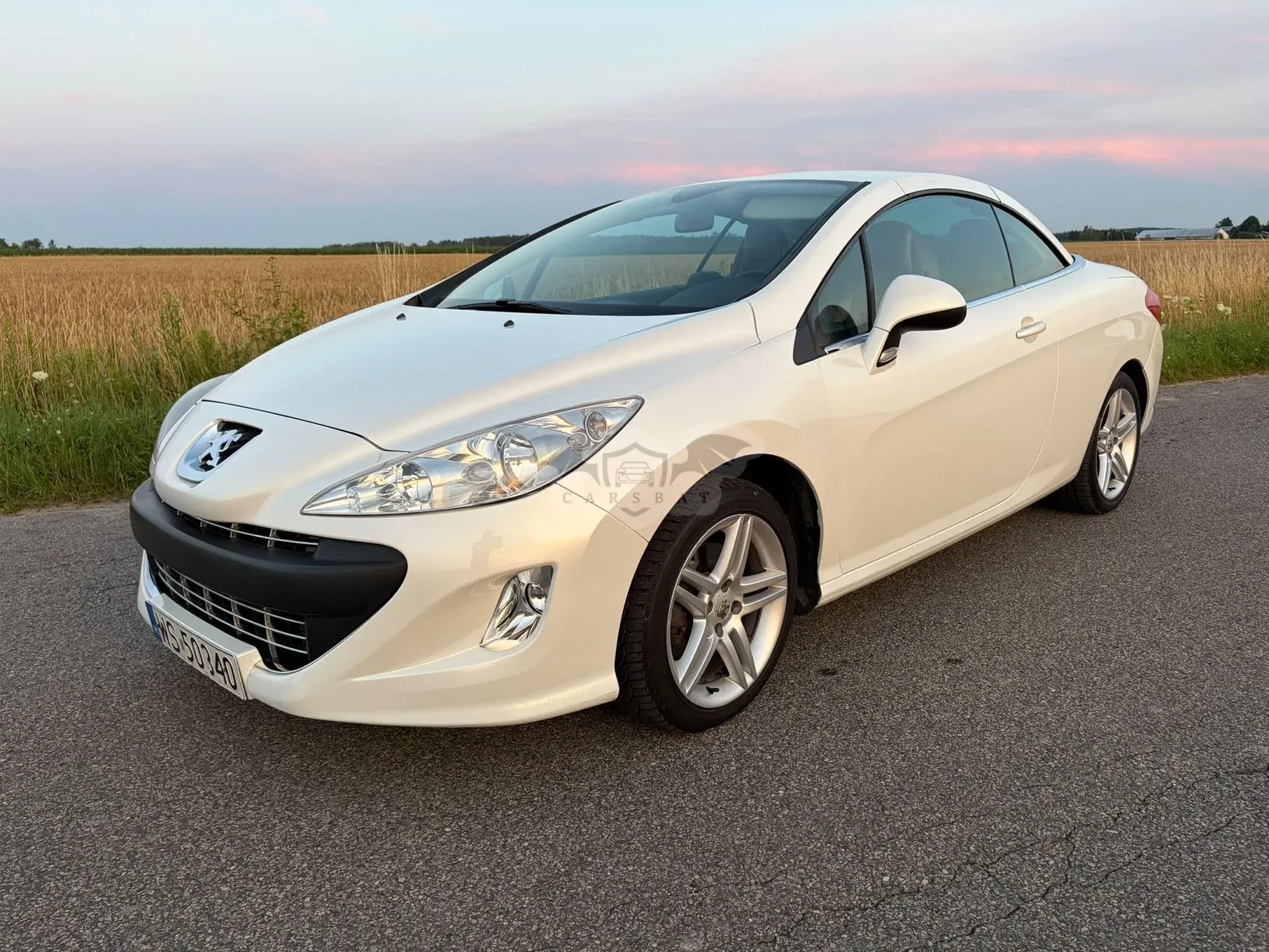 Peugeot 308 2010