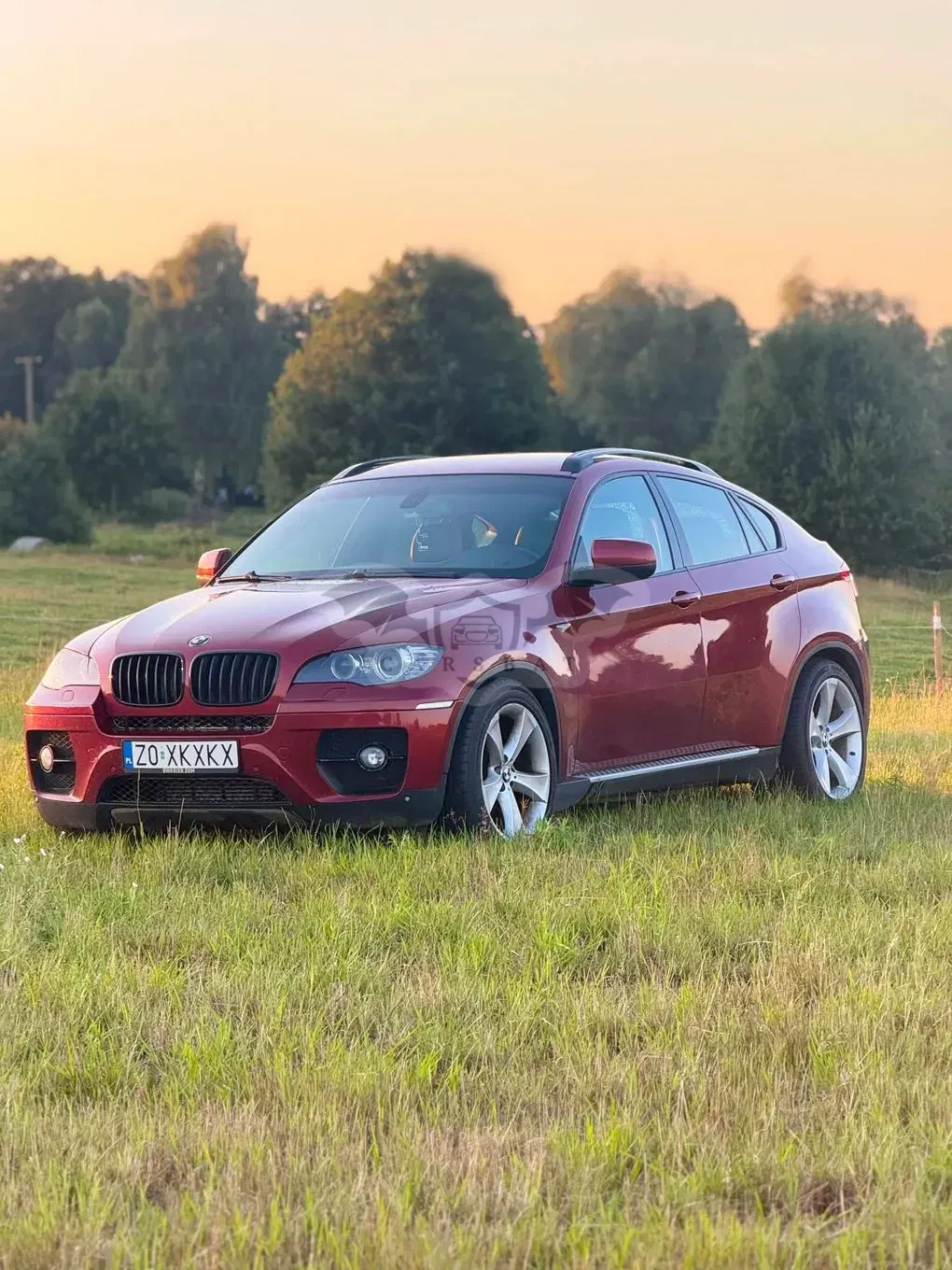 BMW X6 E71 (2008-2014) 30d xDrive 2009