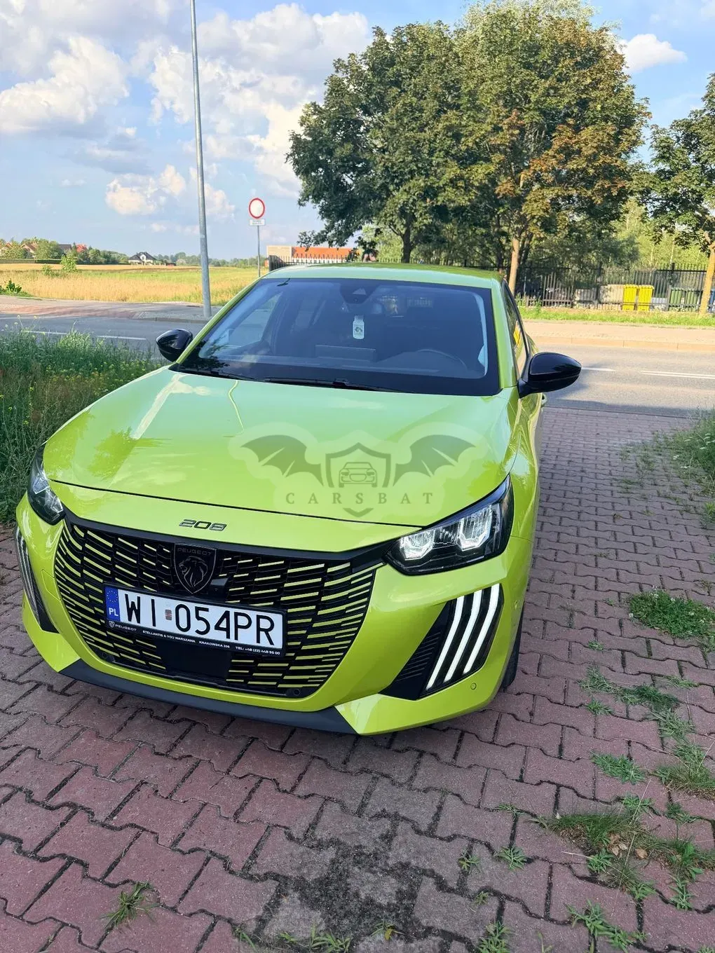 Peugeot 208 II (2019-) 2024