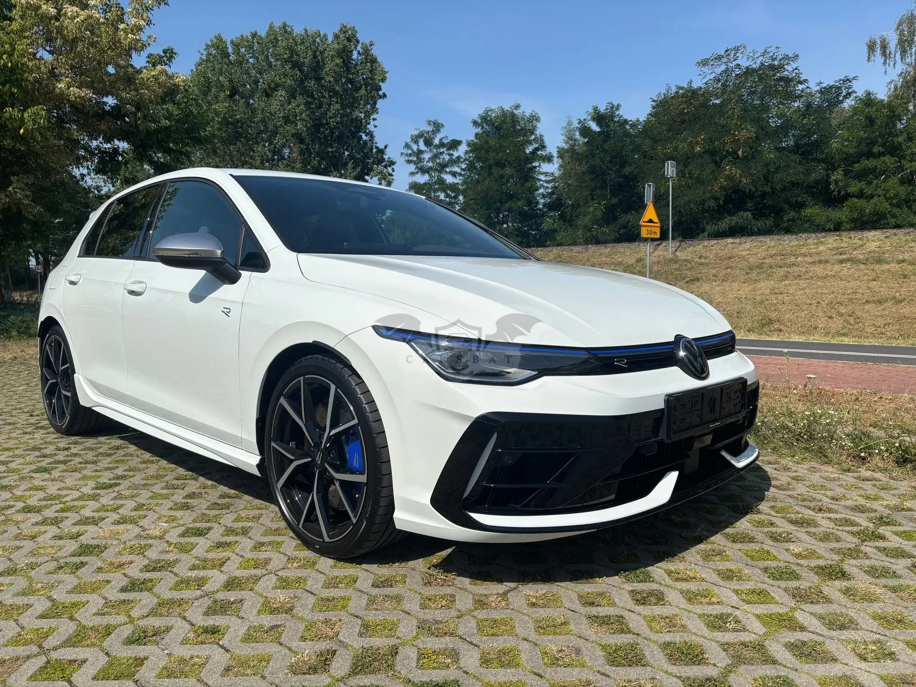 Volkswagen Golf VIII (2020-) 2.0 TSI 4Motion R DSG 2025