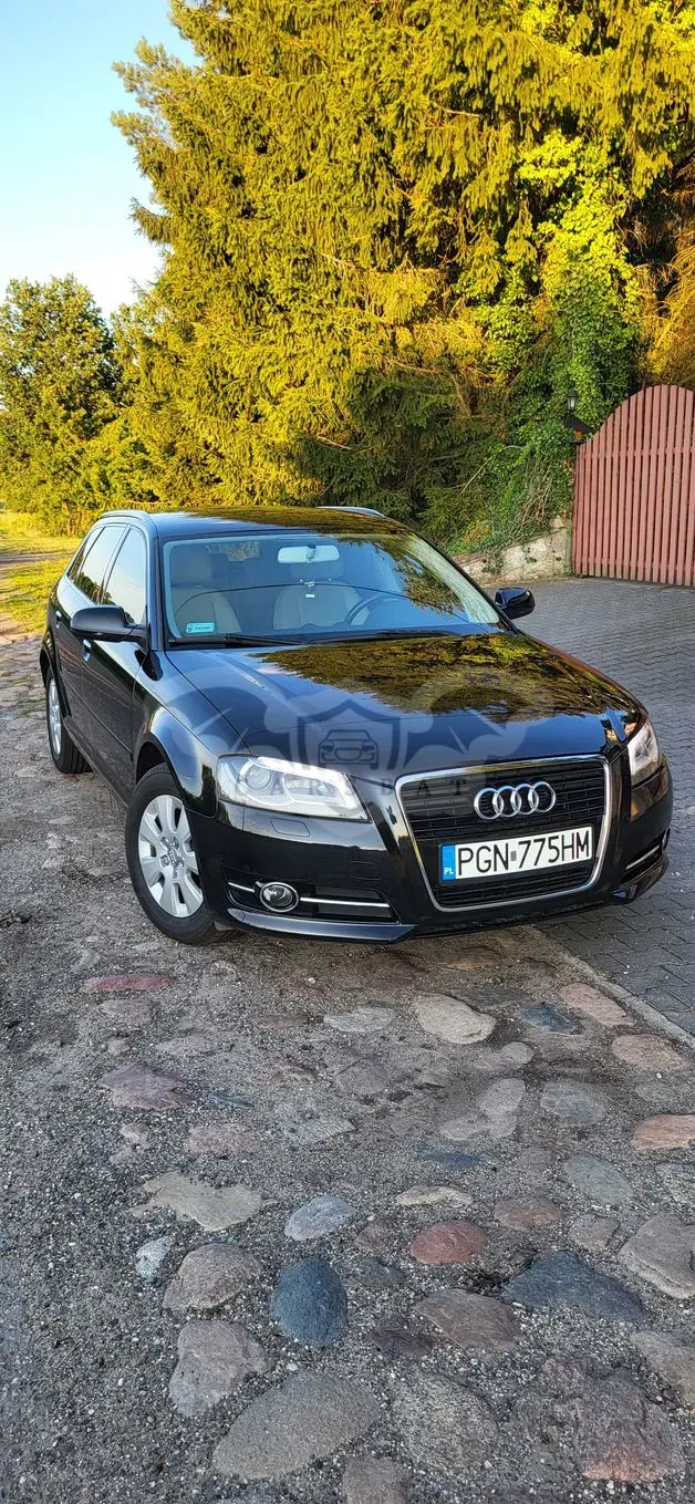 Audi A3 8P (2003-2012) 2011