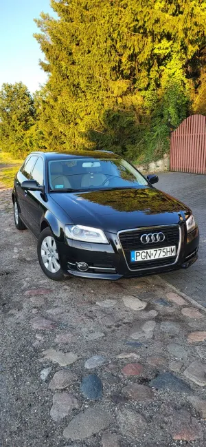 Audi A3 8P (2003-2012) 2011