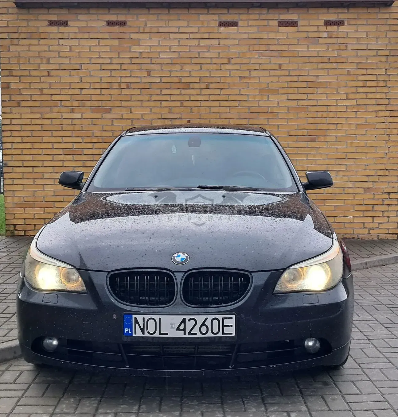 BMW 5 Series E60/E61 (2003-2010) 525d 2005