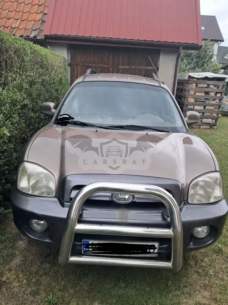 Hyundai Santa Fe I (2000-2006) 2006