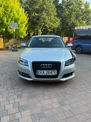 Audi A3 8P (2003-2012) 2010