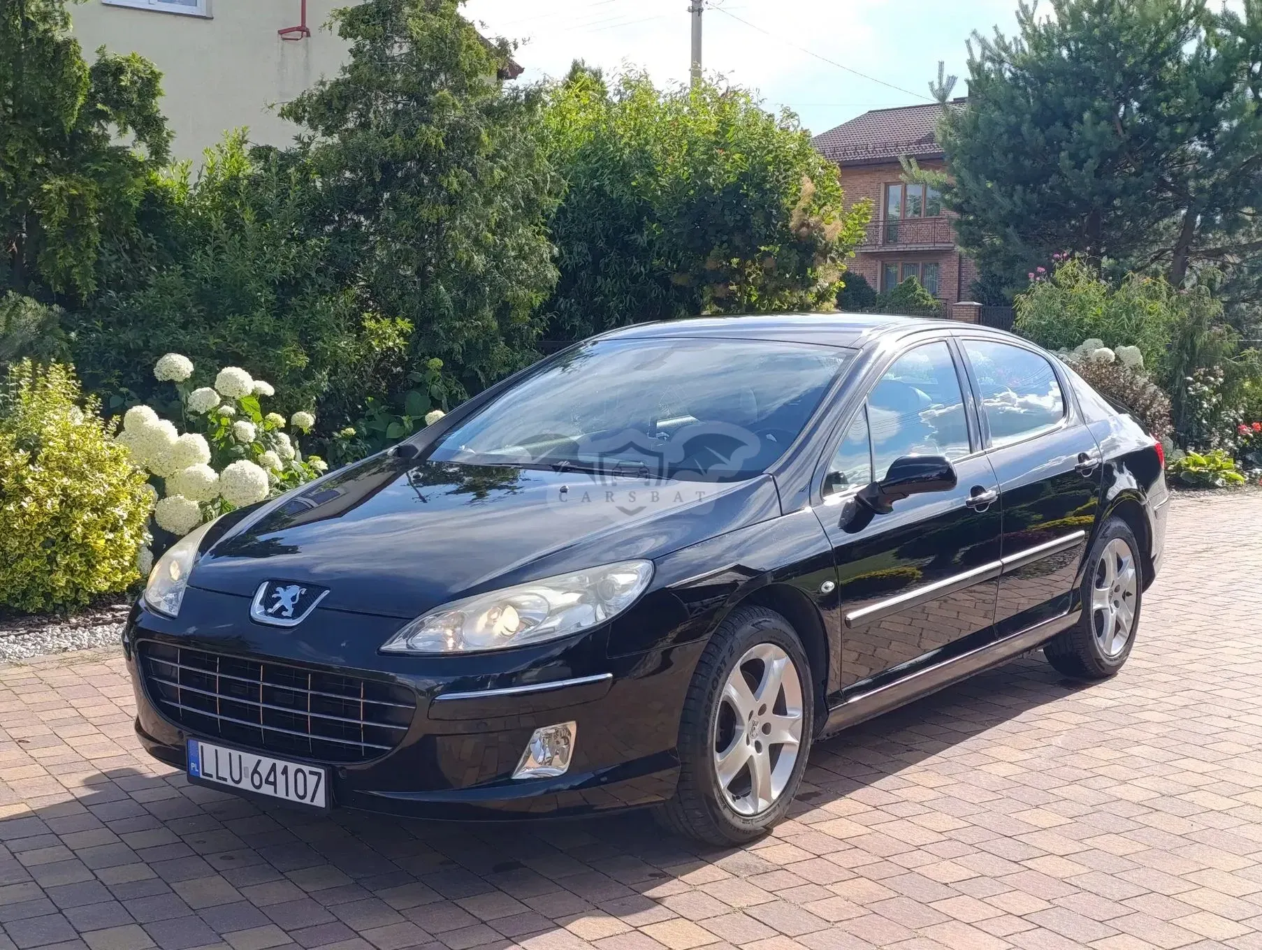 Peugeot 407 2009