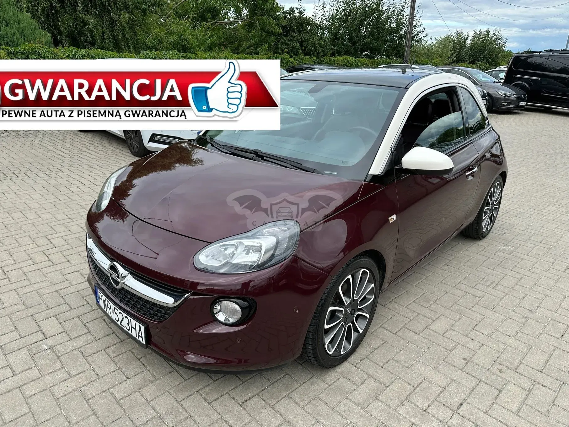 Opel Adam 2013