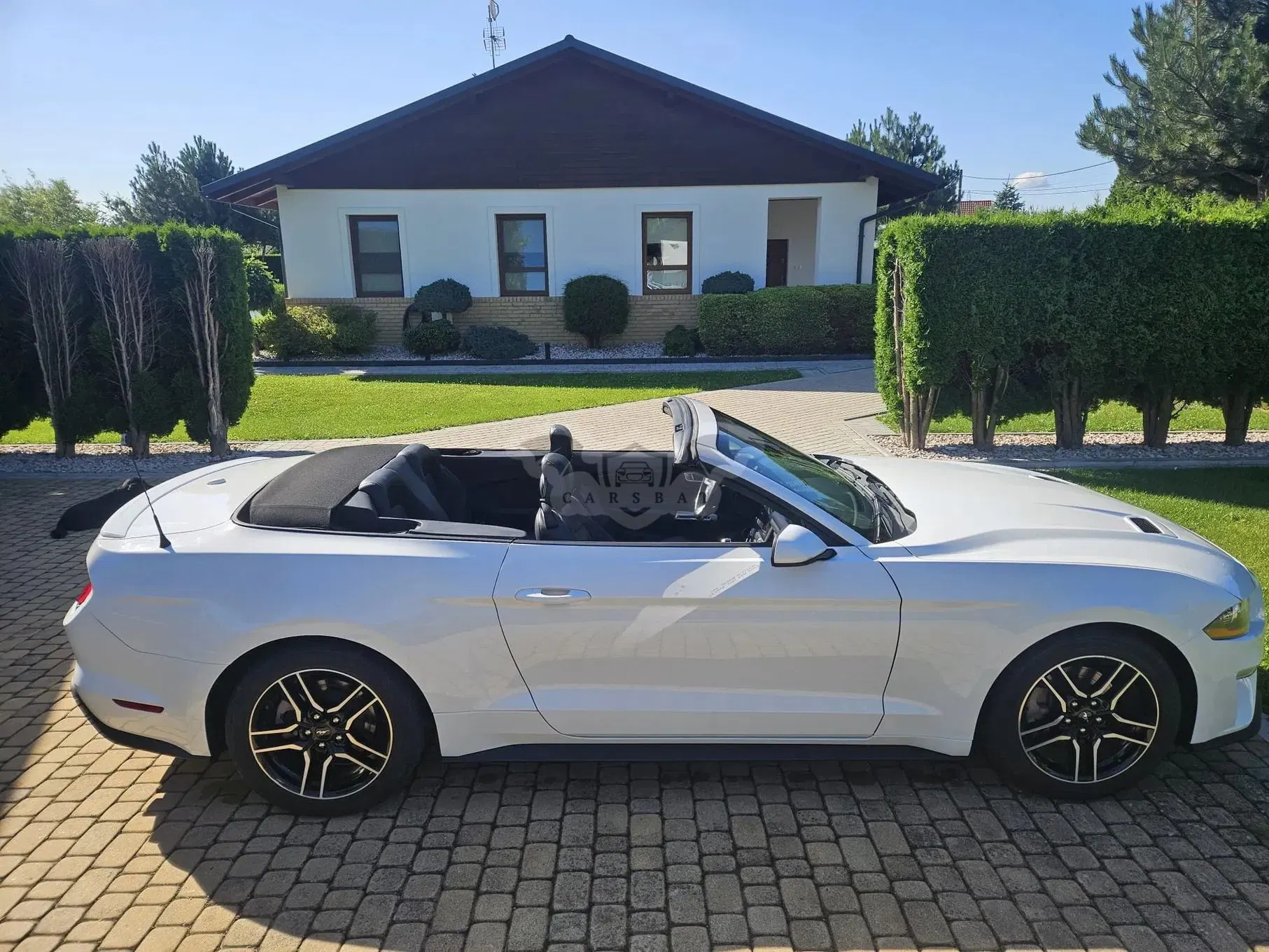 Ford Mustang 2.3 EcoBoost 2023