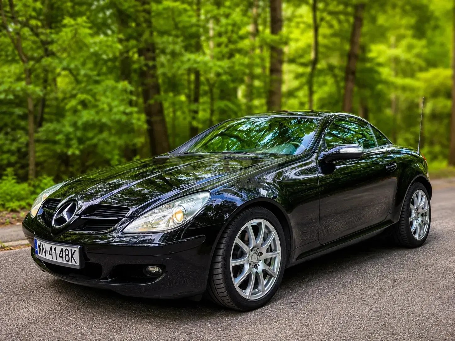 Mercedes-Benz SLK R171 (2004-2011) 2007