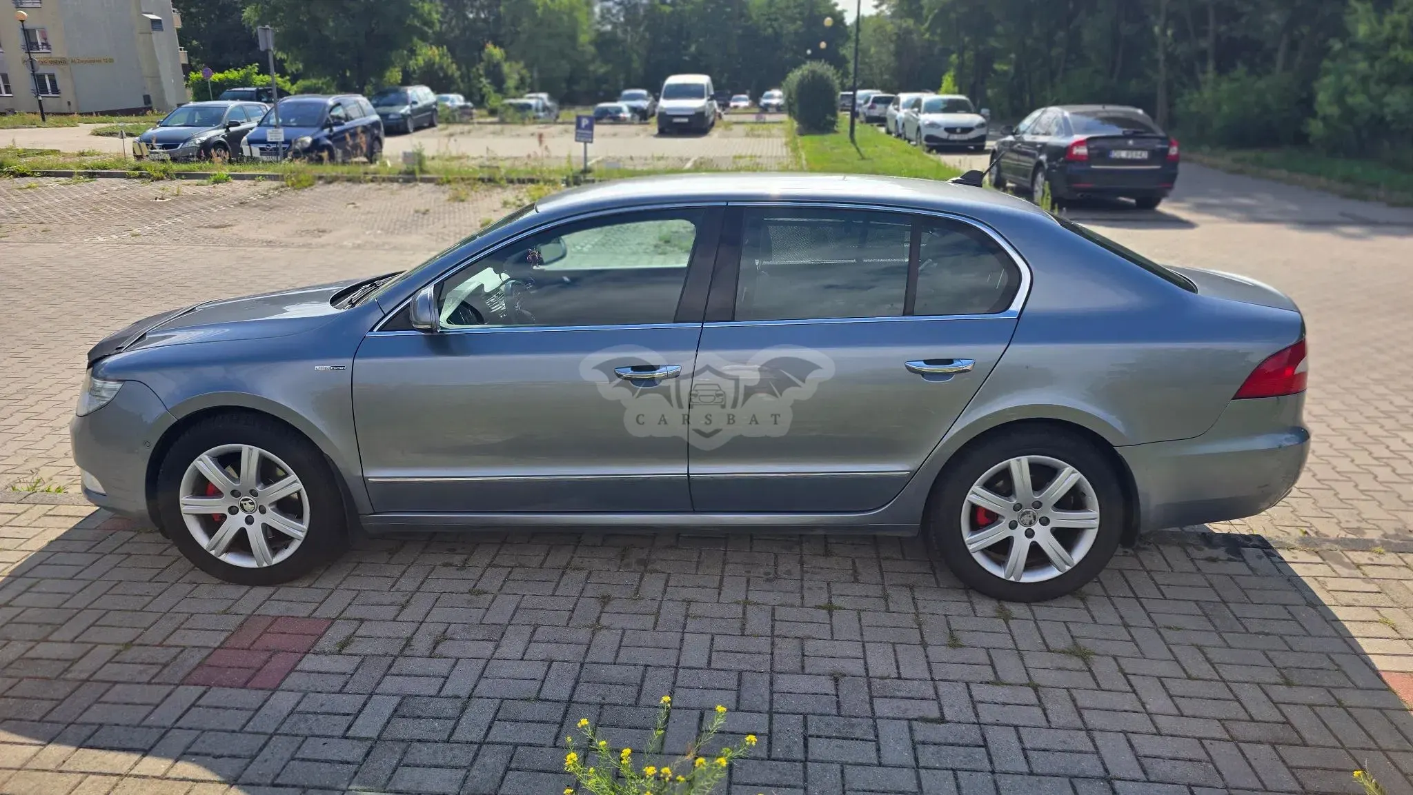 Skoda Superb II (2008-2018) 2.0 TDI DPF Elegance 2009