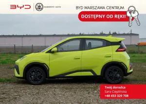 BYD Dolphin 43.2kWh Comfort 2025