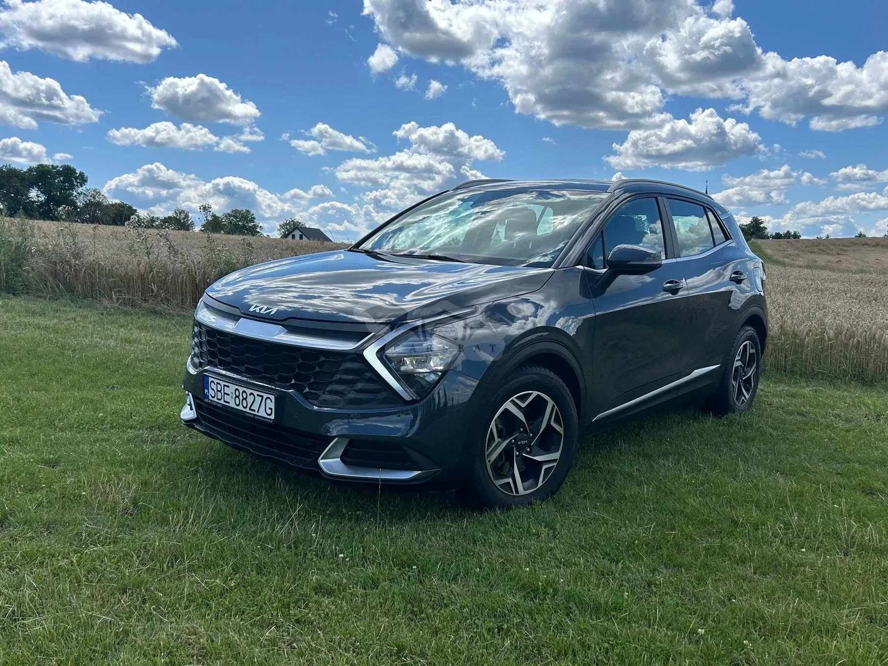 Kia Sportage V (2021-) 1.6 T-GDI L 2WD 2022