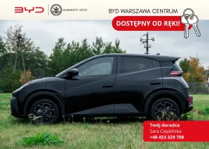 BYD Dolphin 2025