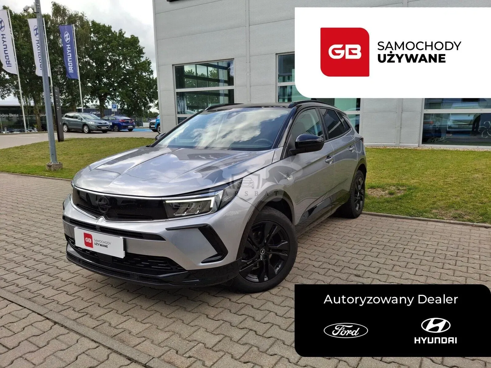 Opel Grandland 1.2 T GS Line S&S 2023
