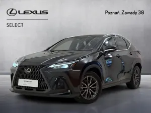 Lexus NX II (2021-) 2023