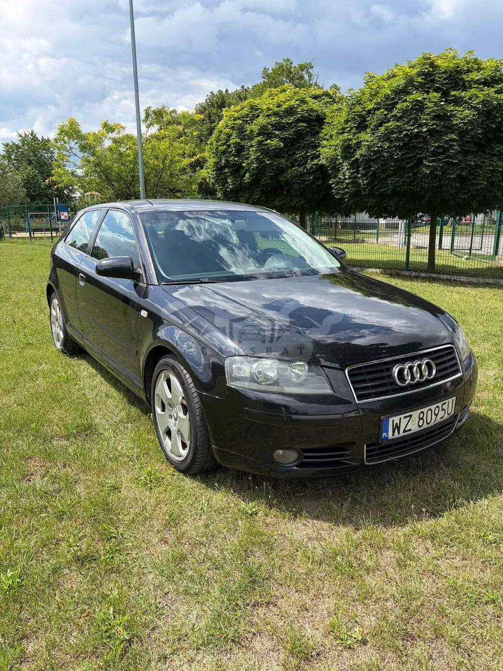 Audi A3 8P (2003-2012) 1.9 TDI Ambition 2004