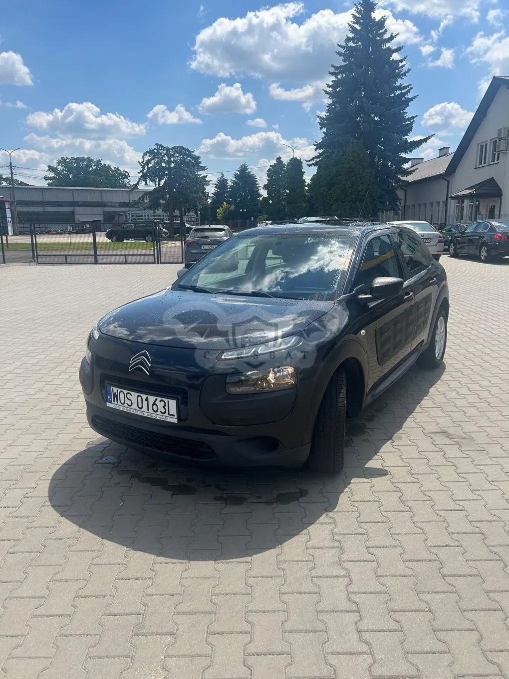 Citroën C4 Cactus 1.2 PureTech Feel Elite EU6 2016