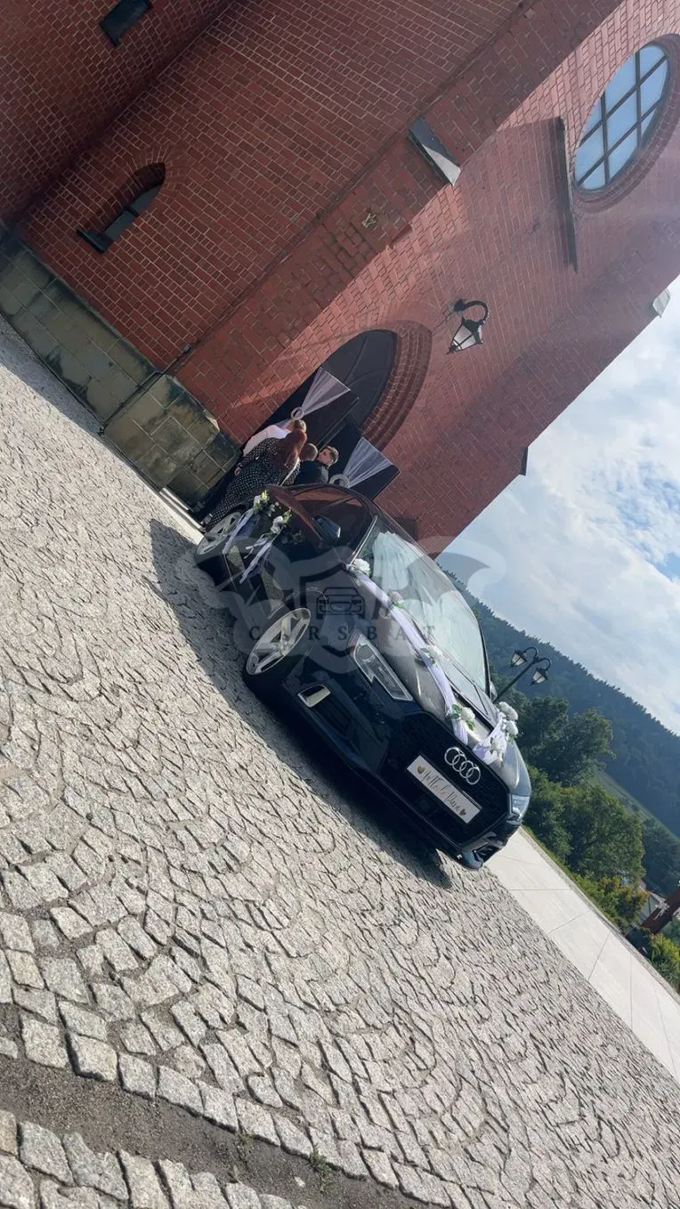 Audi A3 8V (2012-) 2.0 TFSI quattro S tronic sport 2018
