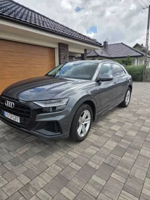 Audi Q8 2019