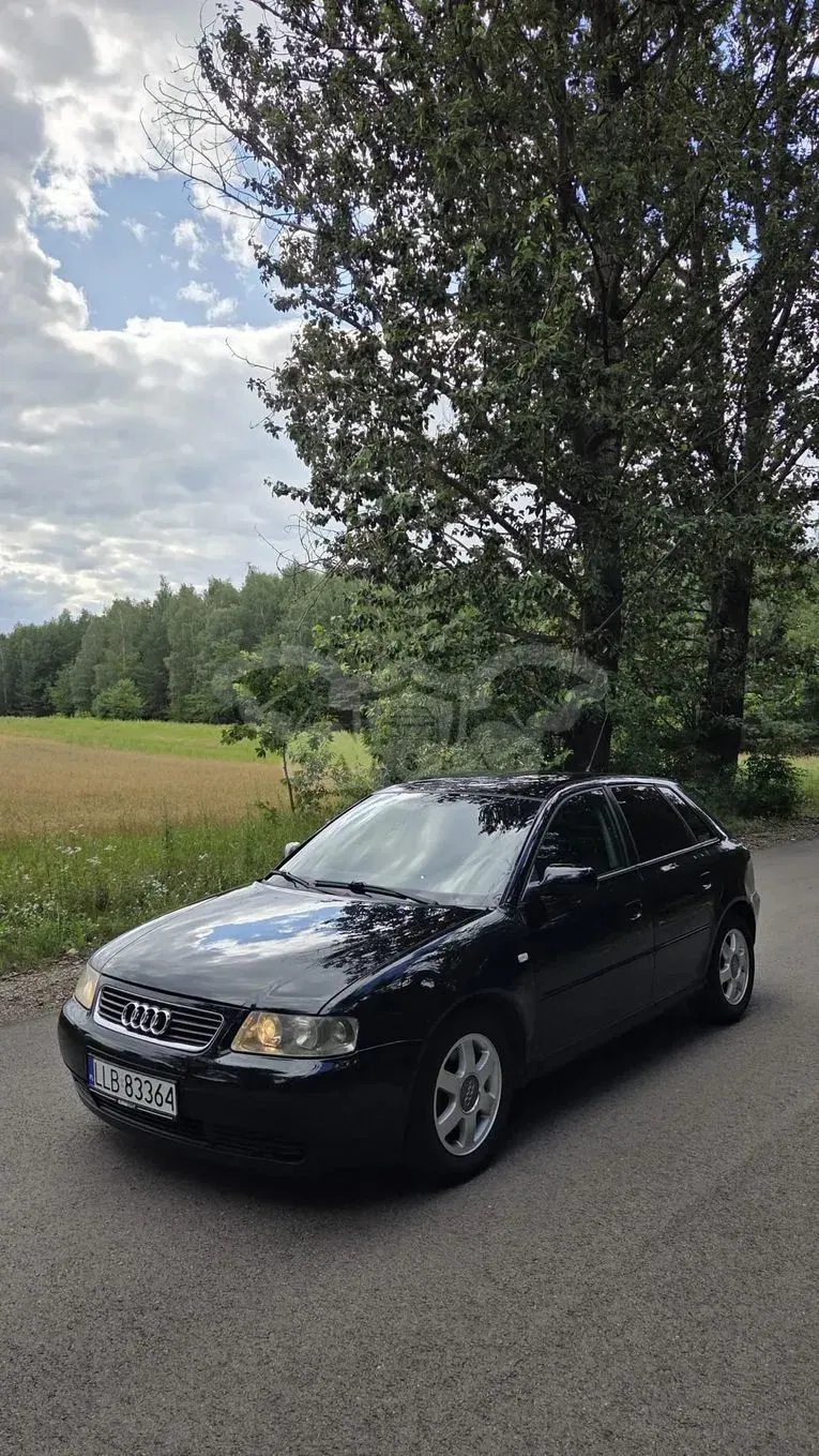 Audi A3 8L (1996-2003) 1.9 TDI Ambiente 2001