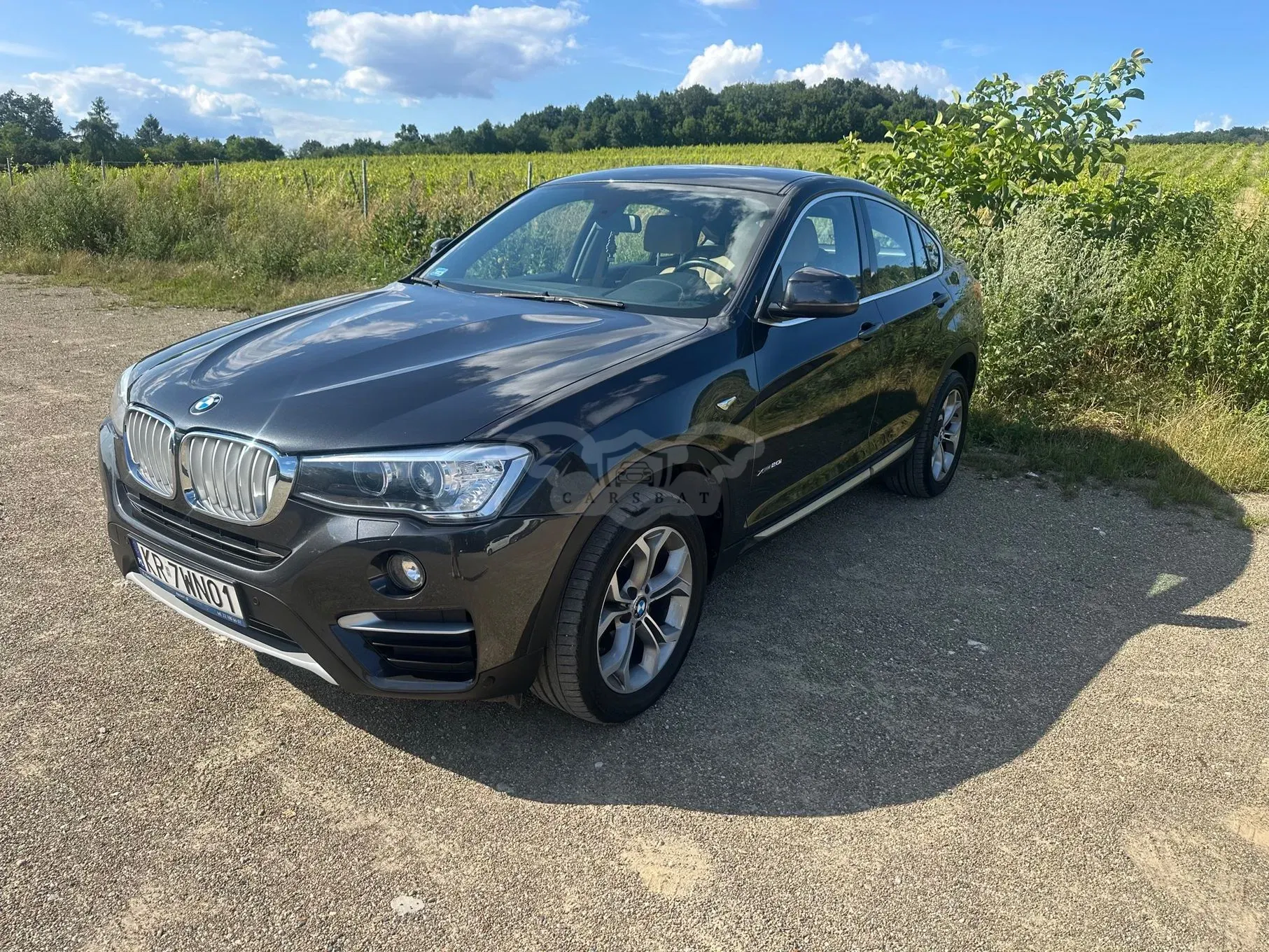 BMW X4 G02 (2018-) xDrive20i 2018
