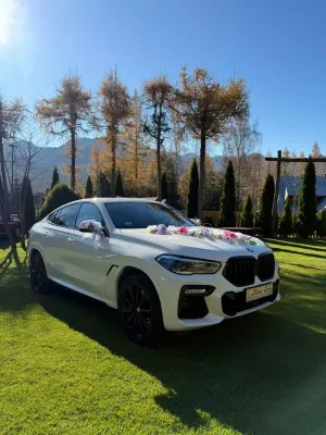 BMW X6 G06 (2019-) xDrive40d mHEV 2021