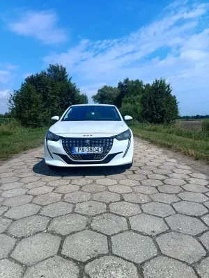Peugeot 208 II (2019-) 1.2 PureTech Active S&S 2020