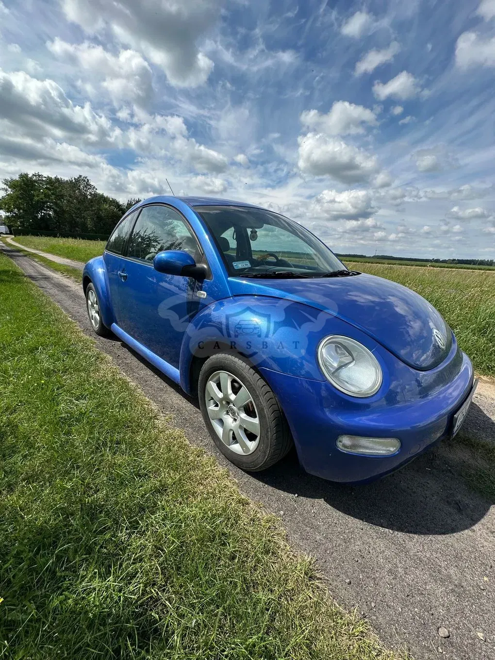 Volkswagen Beetle 1.6 2001