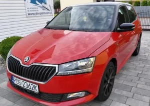 Skoda Fabia III (2014-2021) 1.0 Edition 2019