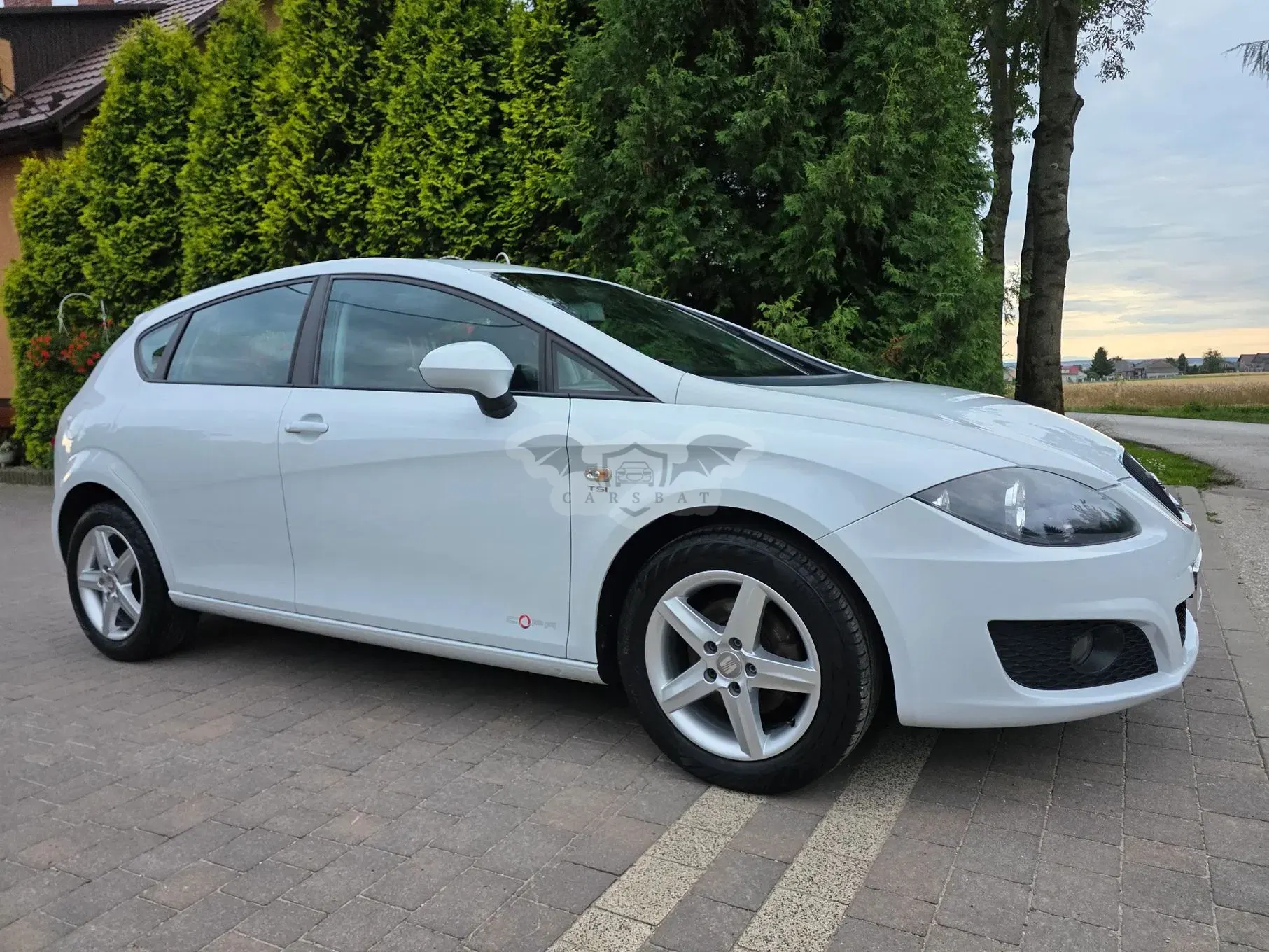 Seat Leon II (2005-2012) 1.2 TSI Ecomotive Reference Copa 2012