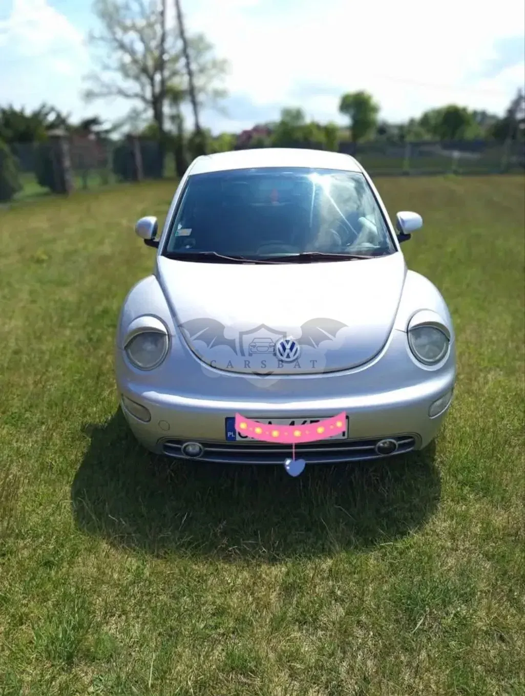Volkswagen Beetle 2.0 1999