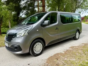 Renault Trafic III (2014-) L2H1 2,9t Business 2019