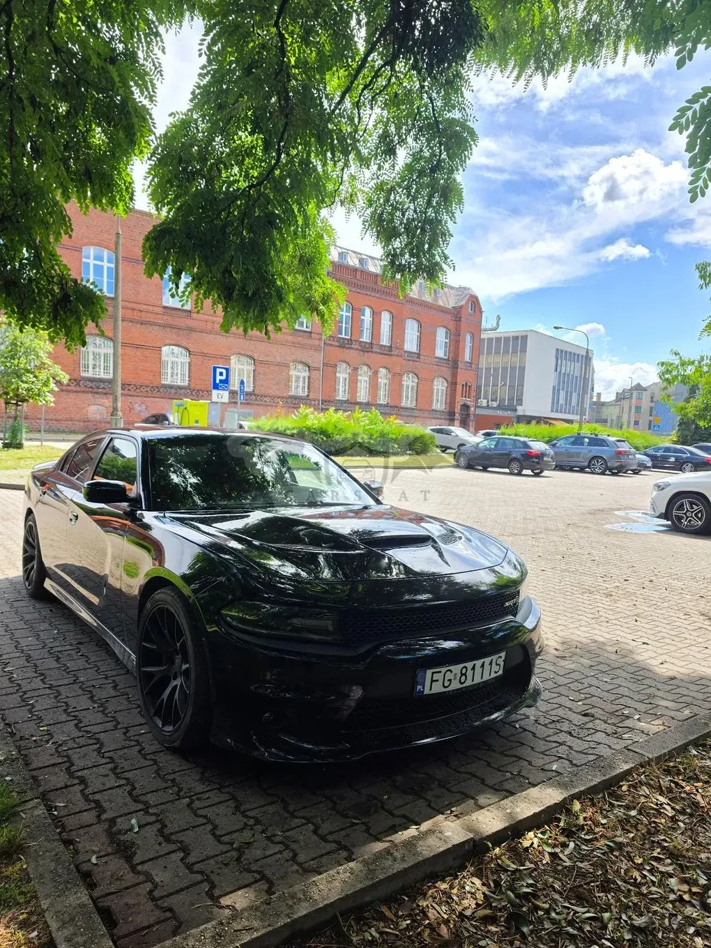 Dodge Charger Automatik SRT Hellcat 2017