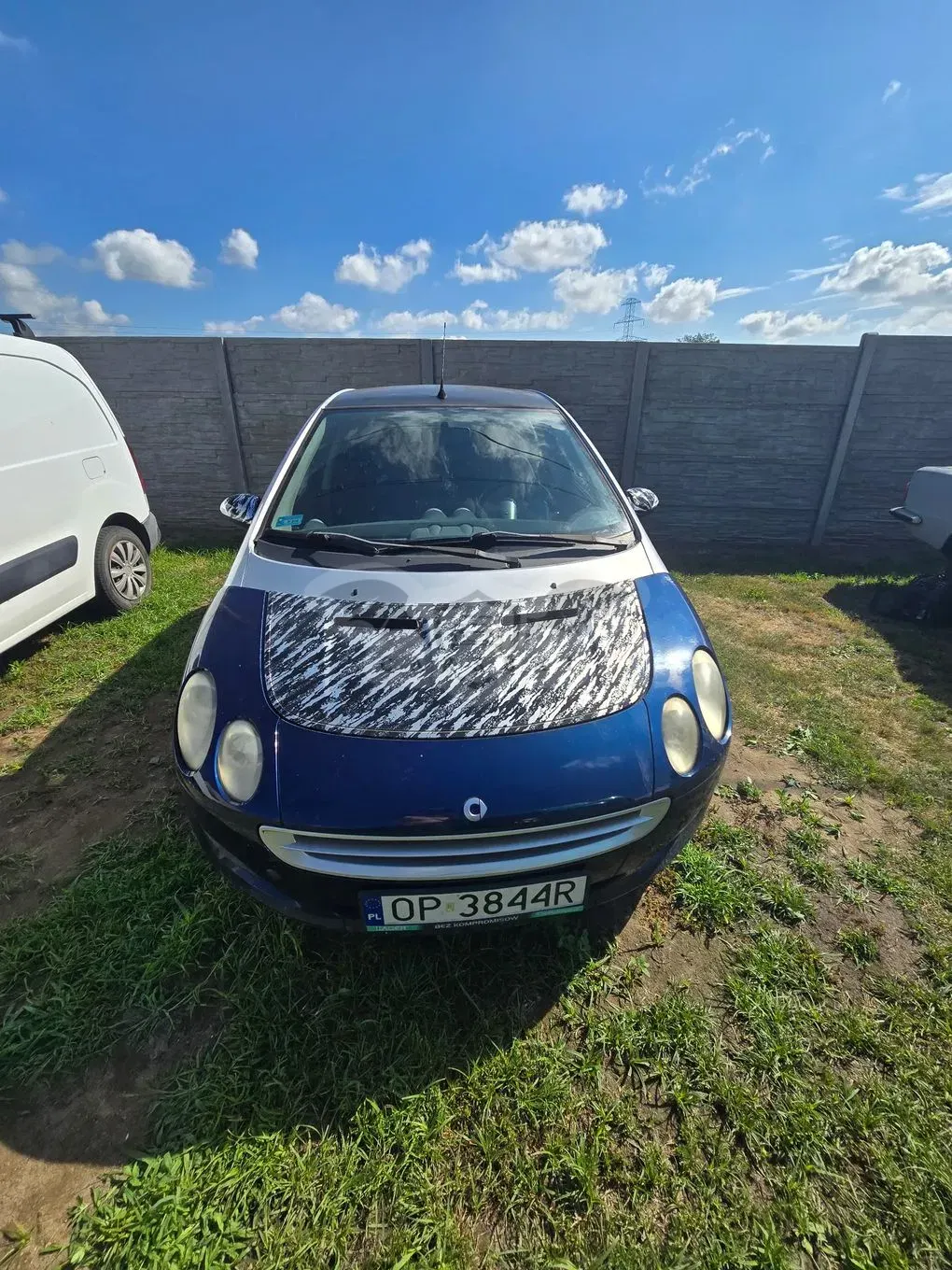 Smart Forfour I (2004-2006) softtouch passion 2004