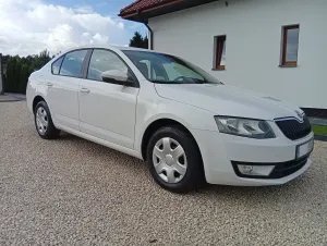Skoda Octavia III (2013-) 1.6 TDI Active 2013