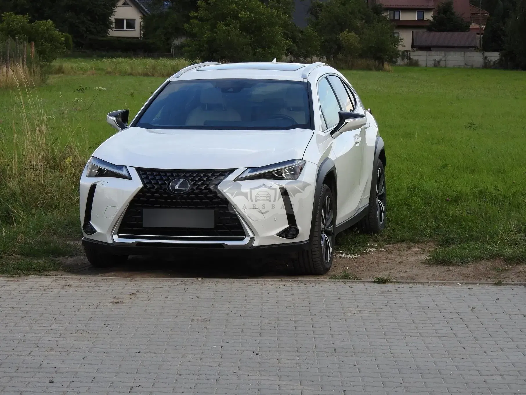 Lexus UX 250h Prestige 2WD 2021