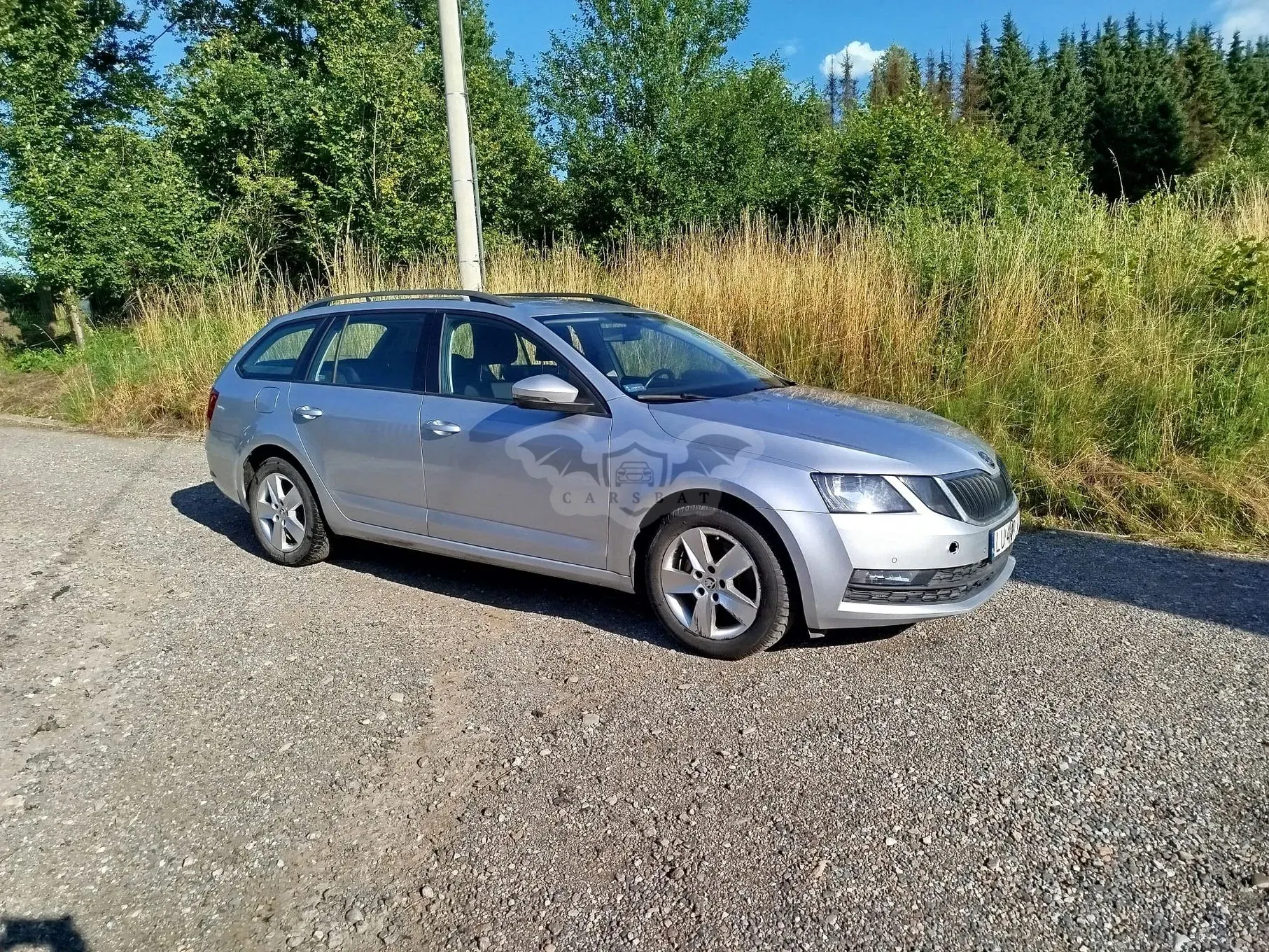 Skoda Octavia III (2013-) 2.0 TSI 4x4 Ambition DSG 2019