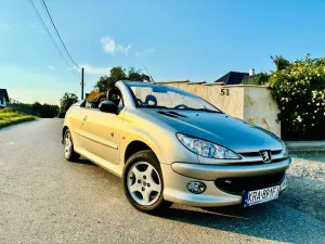 Peugeot 206 110 Roland Garros 2005