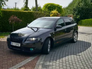 Audi A3 8P (2003-2012) 2.0 TDI DPF Ambiente 2006