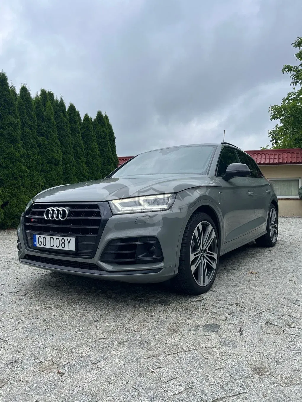 Audi SQ5 2019