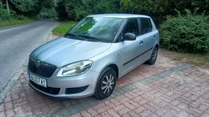 Skoda Fabia II (2007-2014) 2010