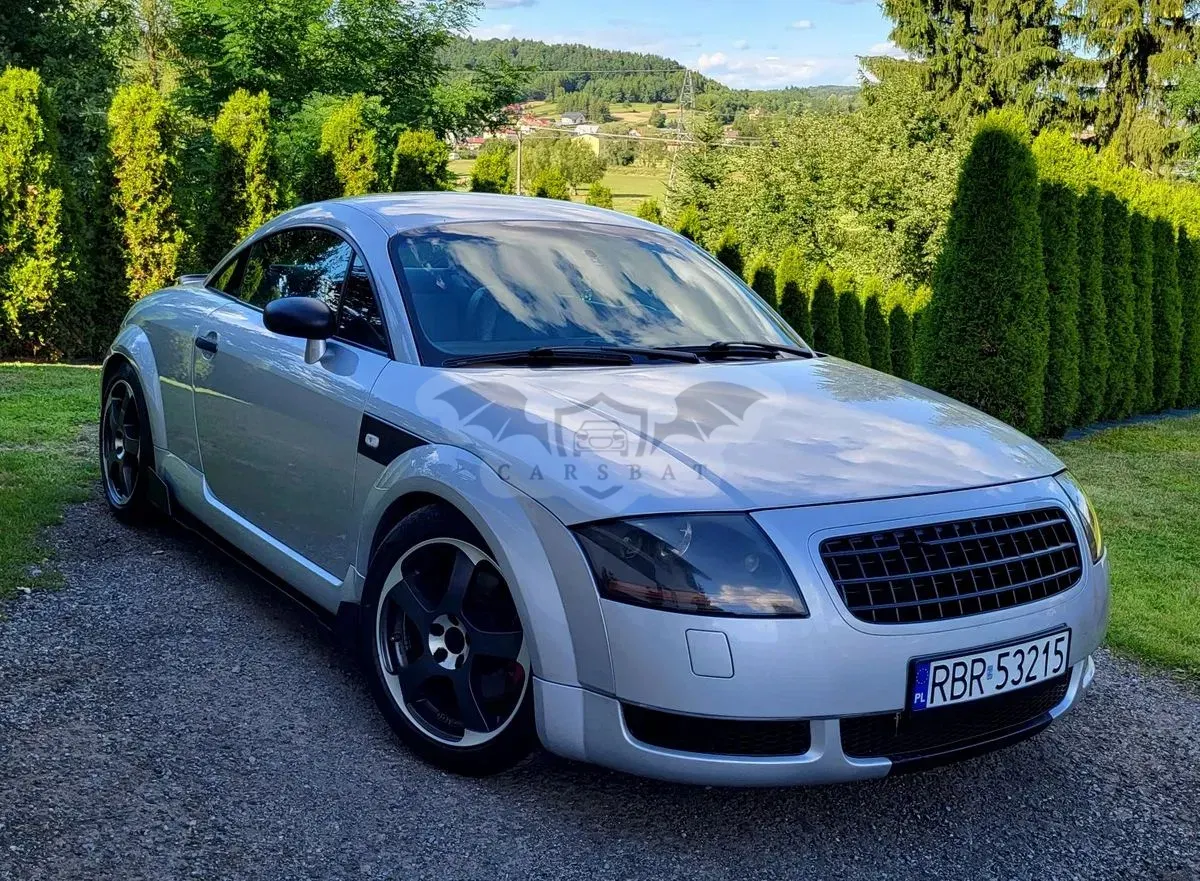 Audi TT 8N (1998-2006) 1.8 T 1999