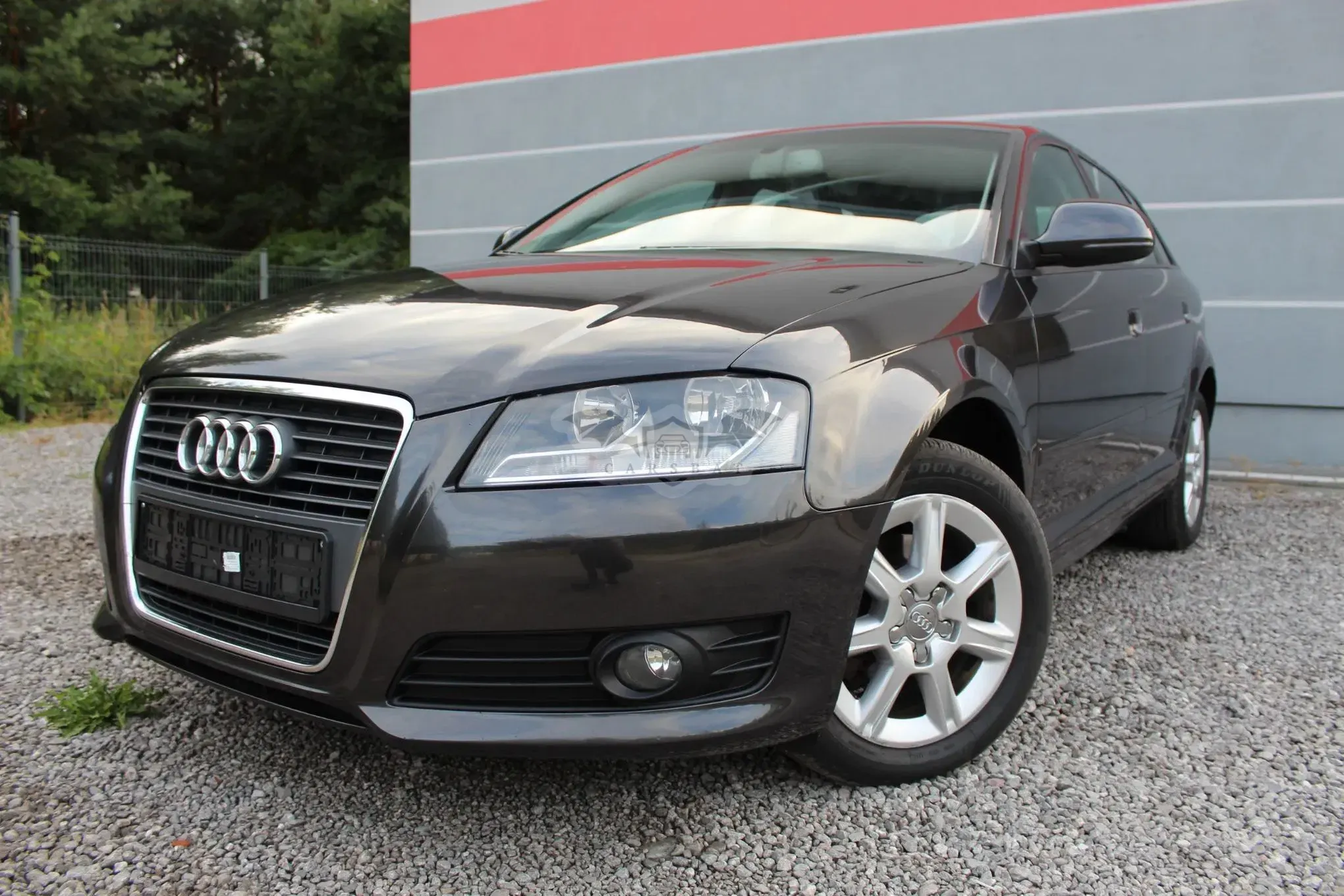Audi A3 8P (2003-2012) 2009
