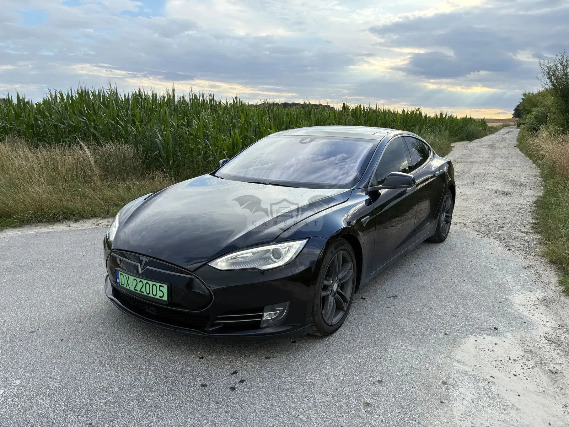Tesla Model S 85 D 2015