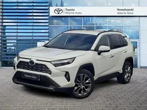 Toyota Rav4 V (2018-) 2023