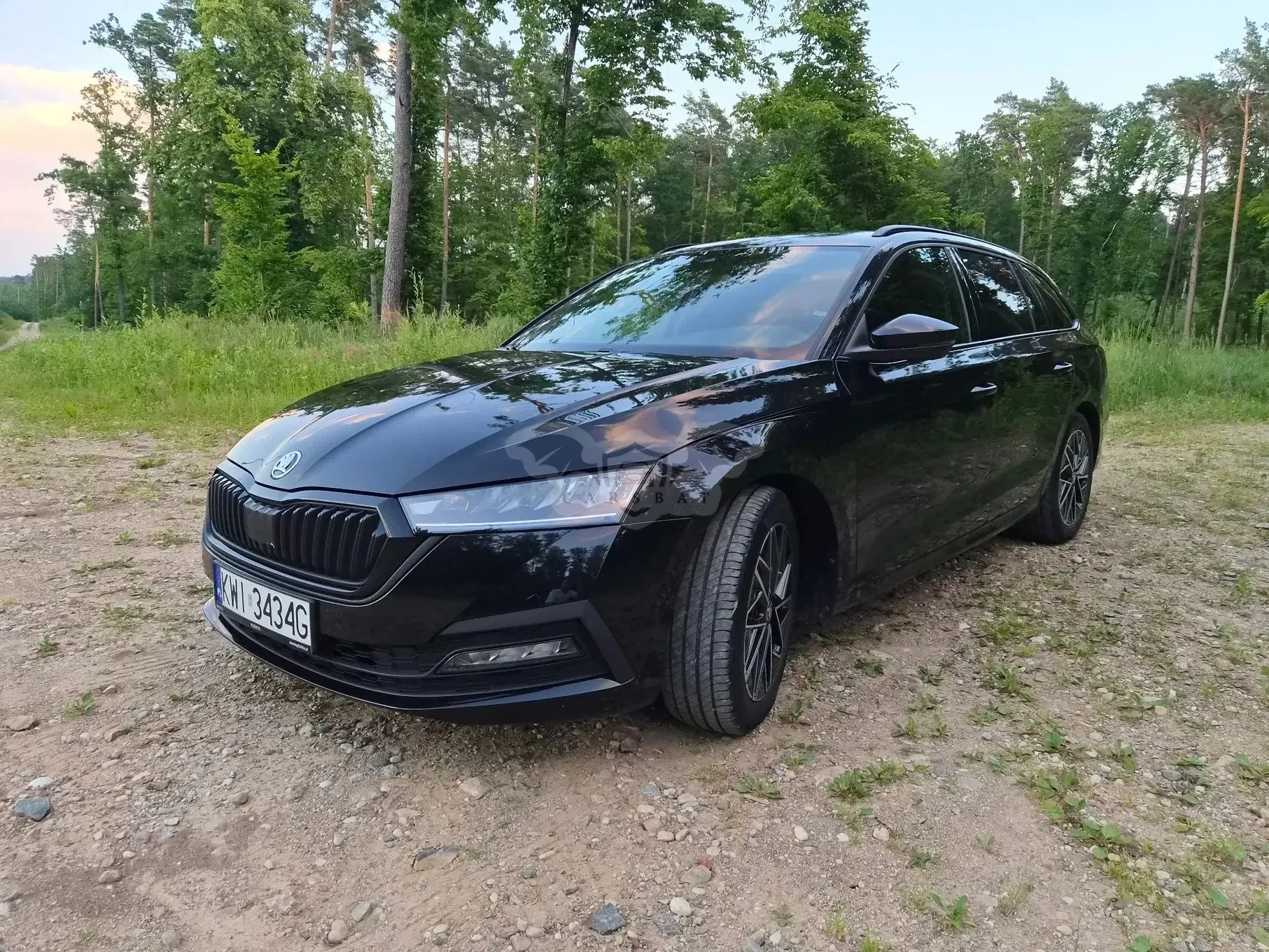 Skoda Octavia IV (2020-) 2.0 TDI Ambition DSG 2023