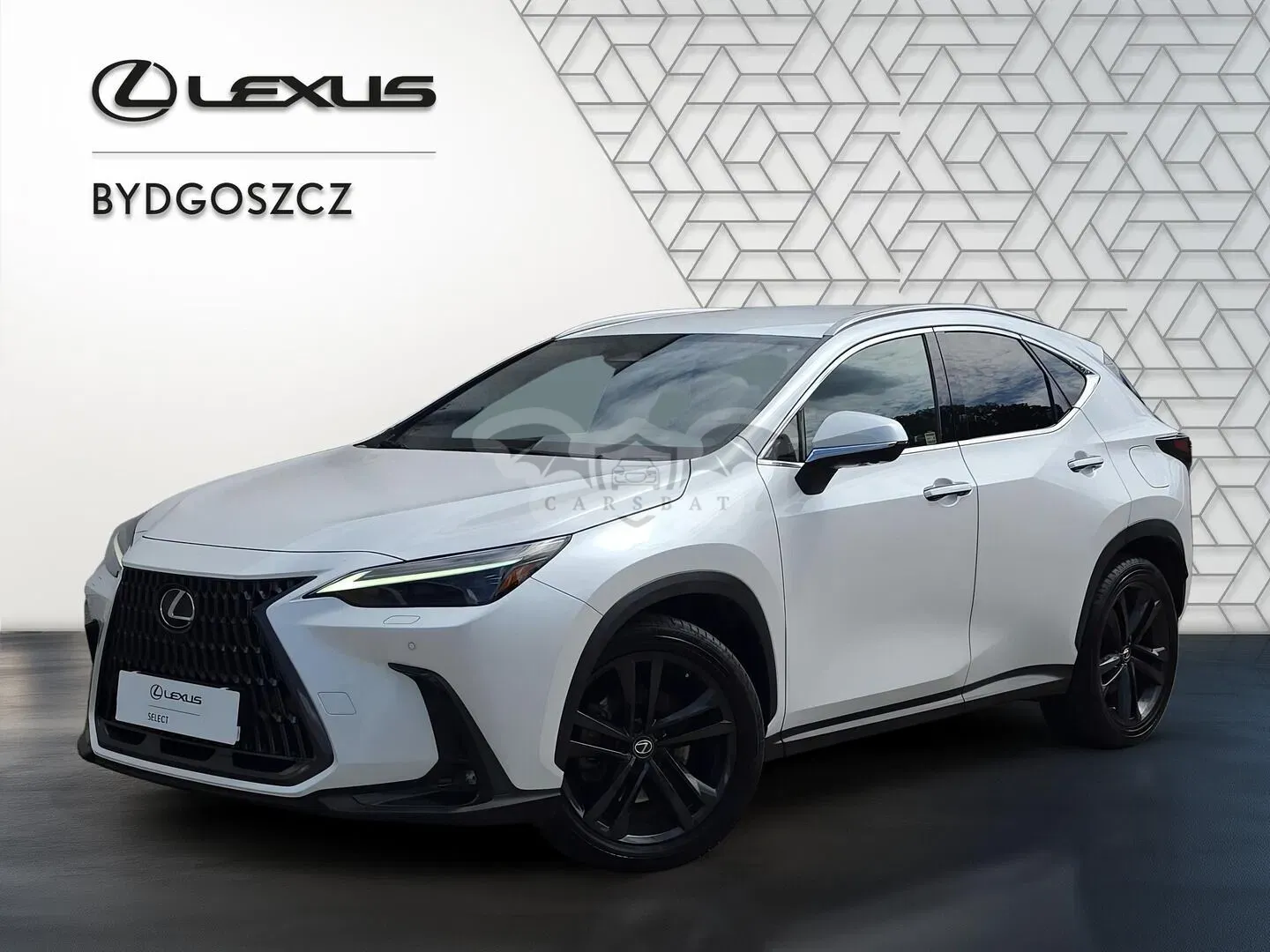 Lexus NX II (2021-) 2022