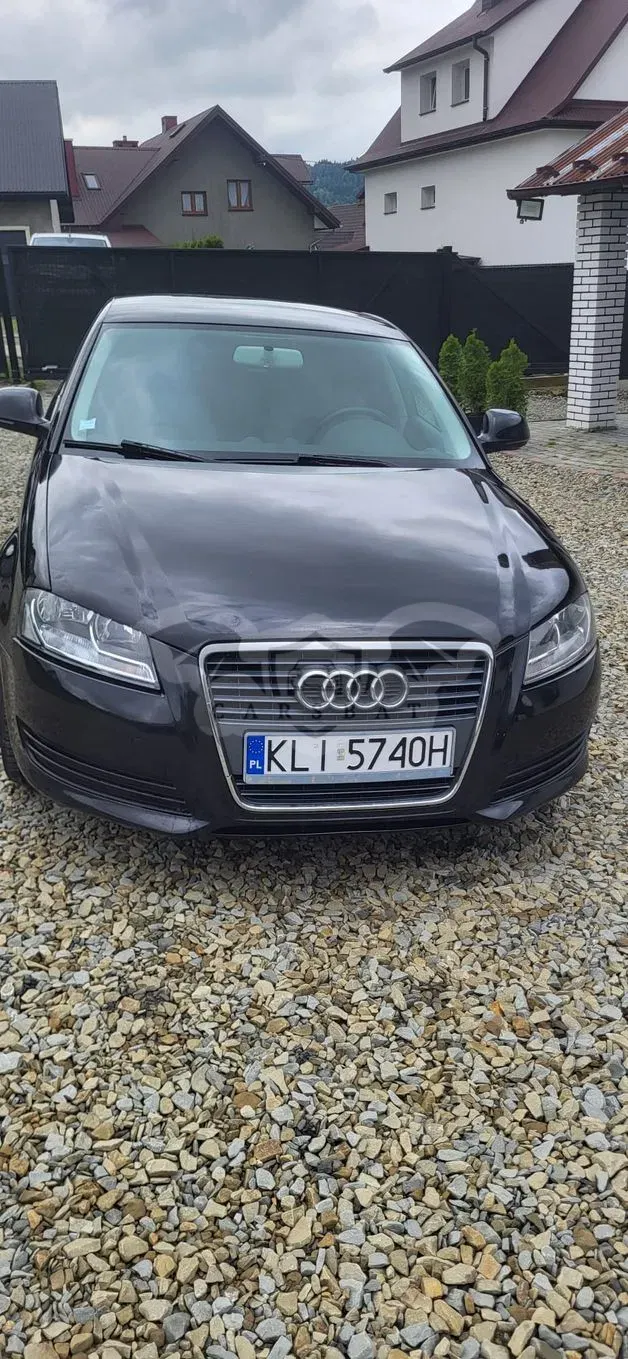 Audi A3 8P (2003-2012) 1.9 TDI Ambiente 2009