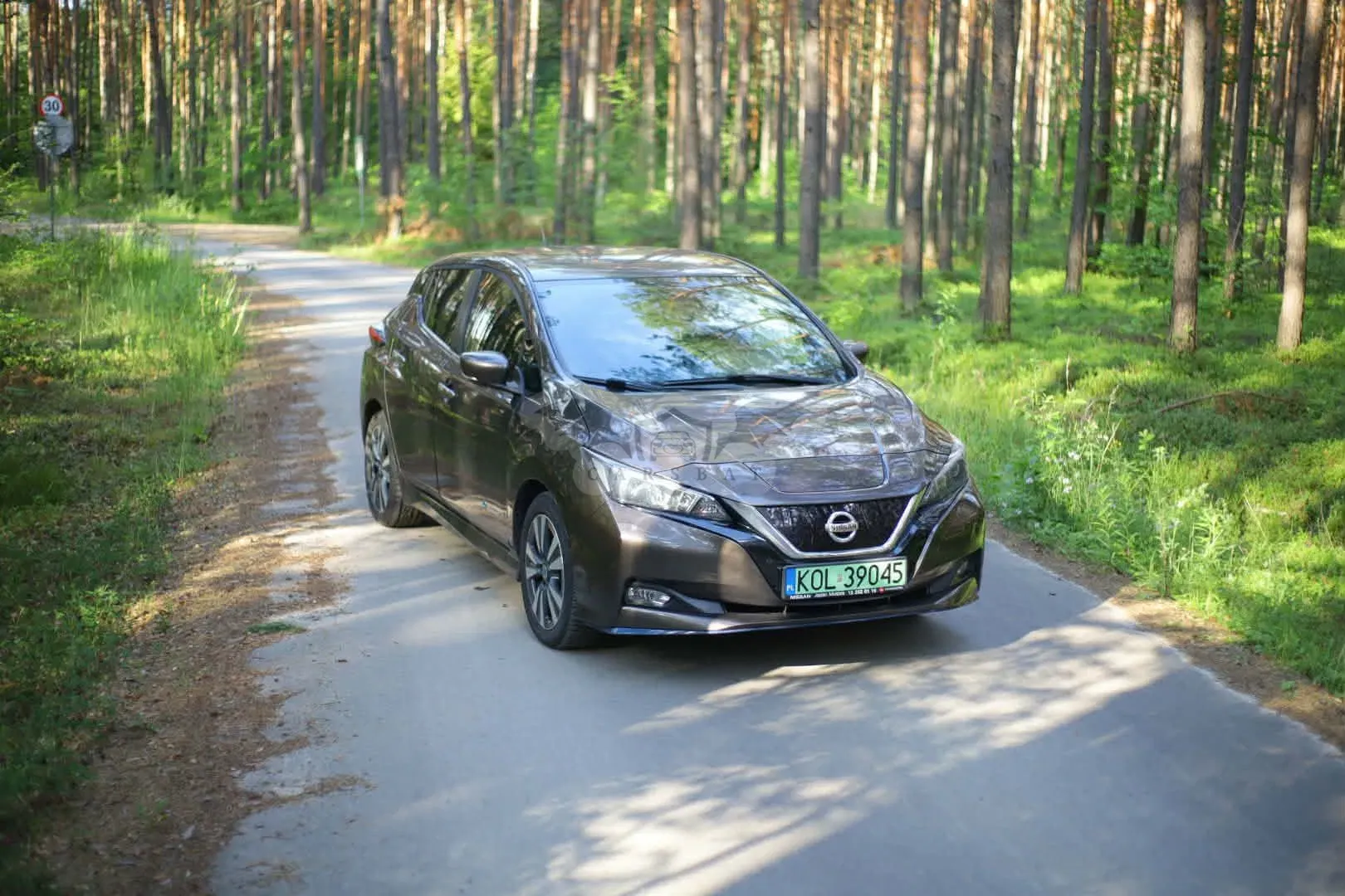 Nissan Leaf 2019